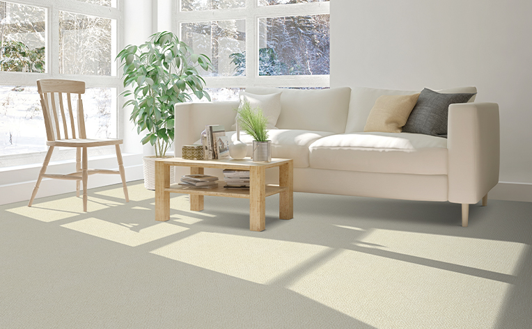 light colored carpet in living room area